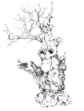 Salcey Elephant Oak  Pencil Drawing 61 x 46 cm £500