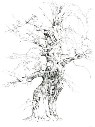 Mother Oak  Pencil Drawing  61 x 46 cm  SOLD