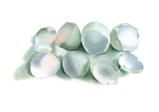 Eight Duck Eggshells Watercolour 63cm x 44cm £1200