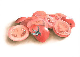 Eleven Tomato Slices Watercolour 63cm x 44cm £1200