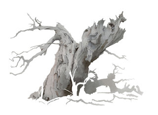 Shattered Oak 1  Watercolour  52 x 71 cm  SOLD
