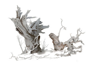 Shattered Oak 2  Watercolour  52 x 71 cm  SOLD