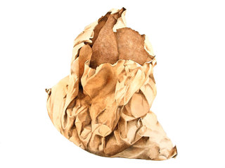 Seed Potato Bag  Watercolour  71 x 52 cm SOLD