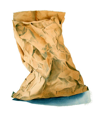 Soft Brown Bag  Watercolour  71 x 52 cm £1300
