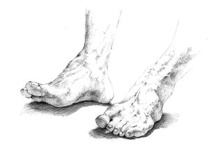 MT Feet (Horizontal) approx. 30 x 40 cm  SOLD