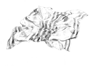 Tea Towel Pencil Drawing approx. 40 x 50 cm  SOLD