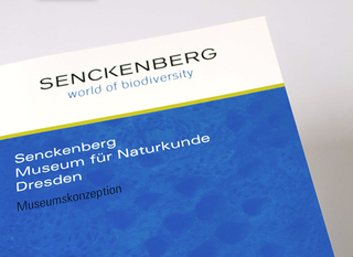 Museumskonzeption Senckenberg Naturhistorische Sammlung Dresden