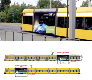 Straßenbahn Werbung, Senckenberg Naturhistorische Sammlung Dresden