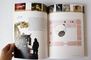 Museumskonzeption Senckenberg Naturhistorische Sammlung Dresden