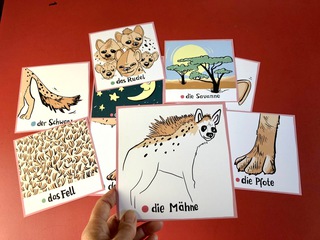 Didaktisches Museumsmaterial für Kinder