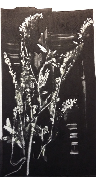 Sans titre, monotype, Aquawash noir RSR sur papier aquarelle 300gr, 16x9, 2023